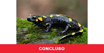 Connessione ecologica nella Brughiera Comasca